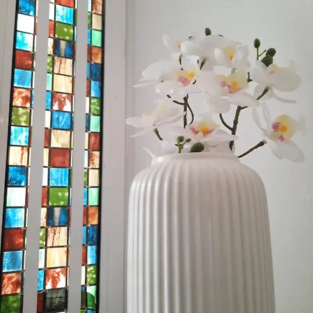 Blife Joanya Private Daire Faro